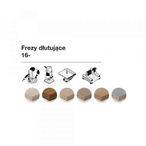 Frez dłutujący x 31,80 x 12,10 x 56,2 x 12 Z2 FREUD 16-11812P
