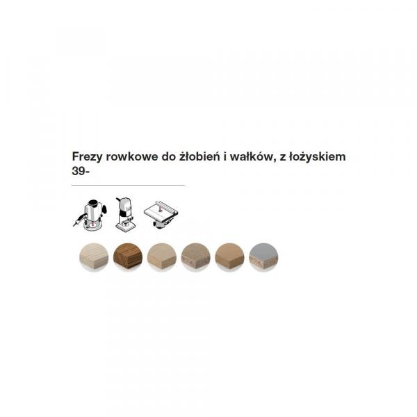 Frez rowkowy do żłobień i wałków z łożyskiem górnym x 19 x 12,70 x 55,5 x 6 Z2 FREUD 39-53206P